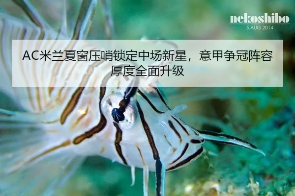 mi-lan-xia-chuang-ya-shao-suo-ding-zhong-chang-xin-xing-yi-jia-zheng-guan-zhen-rong-hou-du-quan-mian-sheng-ji-3-343.jpg