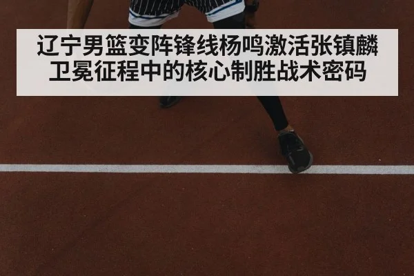 辽宁男篮变阵锋线杨鸣激活张镇麟卫冕征程中的核心制胜战术密码
