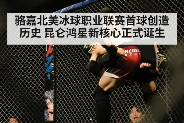 骆嘉北美冰球职业联赛首球创造历史 昆仑鸿星新核心正式诞生