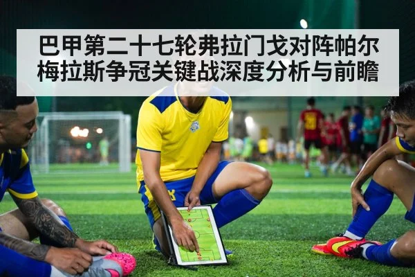 巴甲第二十七轮弗拉门戈对阵帕尔梅拉斯争冠关键战深度分析与前瞻