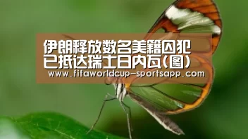 世界杯官方入口